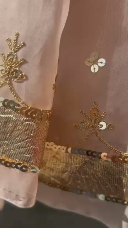 Pure silk organza border saree