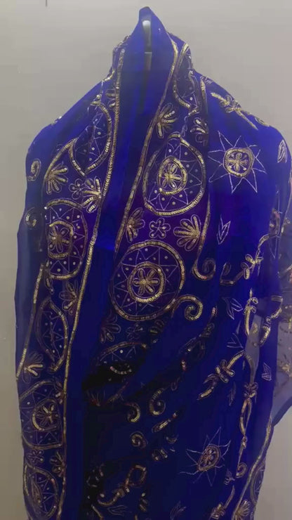 Blue Zari Sequence Jaal Saree