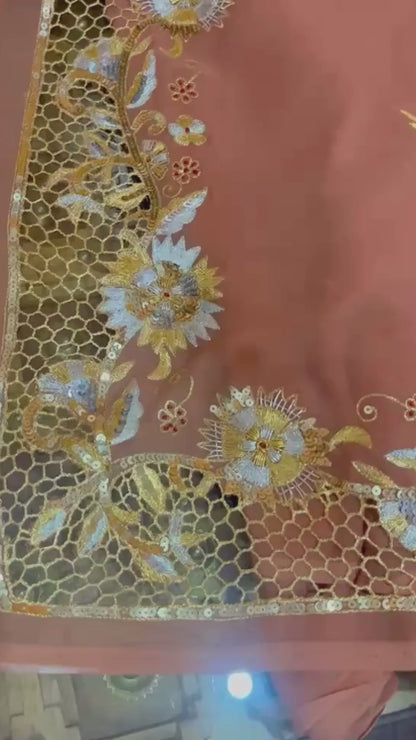 Ombre Brown Shaded Cutwork Border Saree